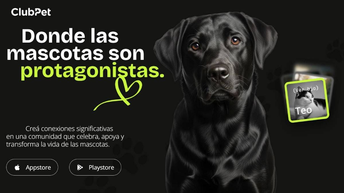 Una noche para abrirle la puerta a un perro o un gato en Neuquén, con el celular como aliada