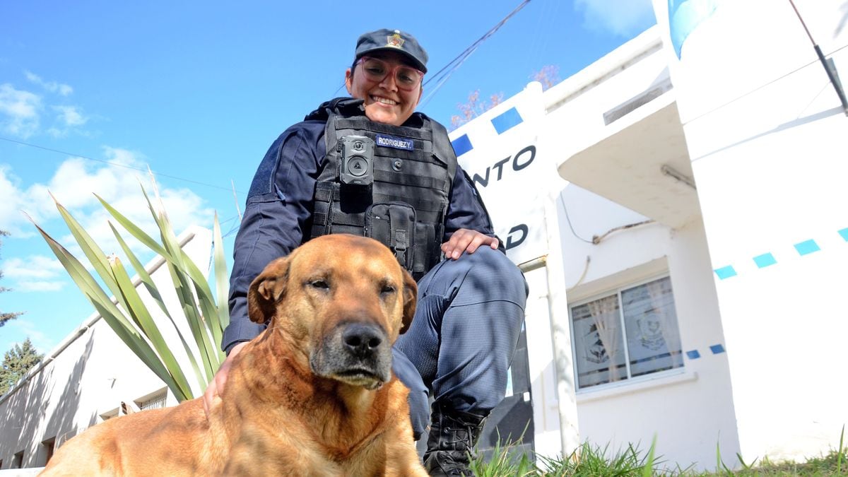 El perro que pedalea la calle: Puchero, el bicipolicía que nadie trajo y nadie se llevó