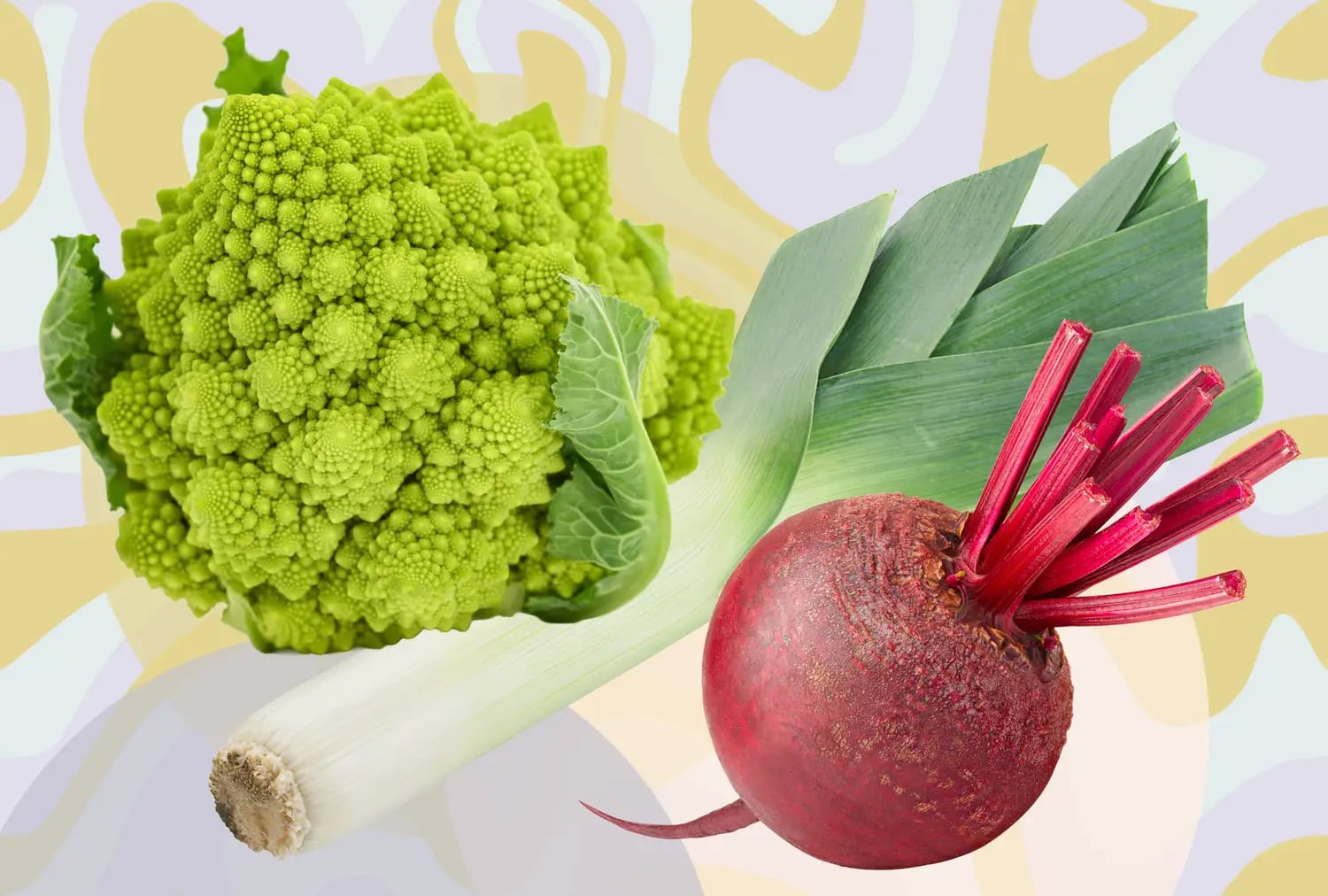 Inflamación y cansancio: por qué la dieta importa y qué alimentos marcan la diferencia