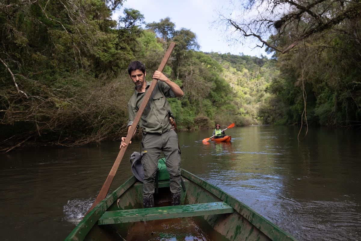 Margay: dos días entre el arroyo, el monte y un vivero que busca reconstruir la selva