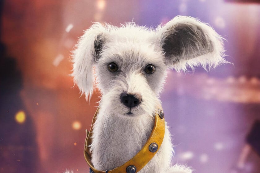 Supergirl llega a HBO Max con un Krypto que, esta vez, no se salva solo