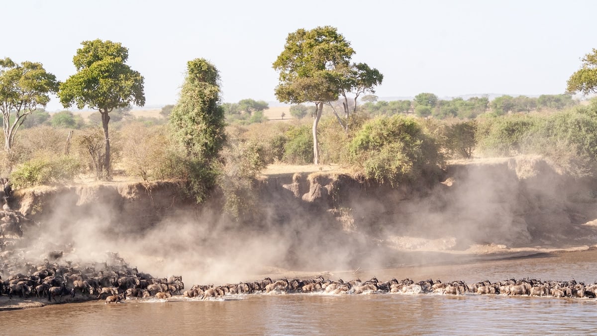 El norte de Tanzania abre su abanico de sabanas, cráteres y comunidades ancestrales al turismo de safari