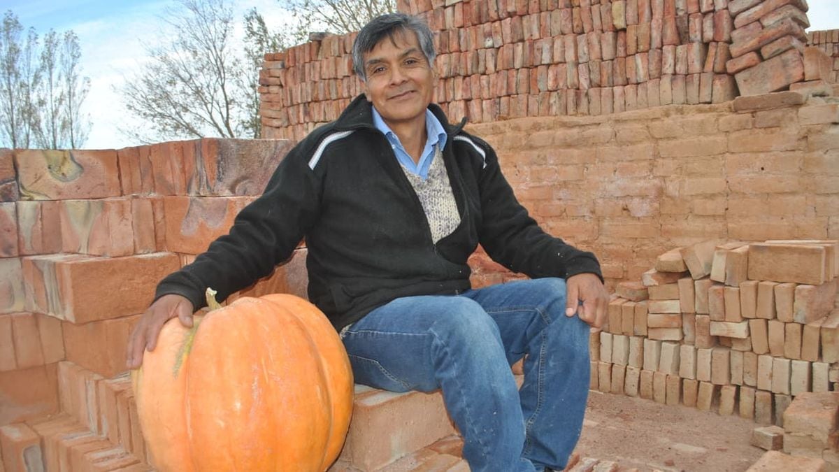 La tierra del Covunco vuelve a sacar chapa: Mariano Moreno relanza el concurso del zapallo gigante y reparte semillas en la puerta