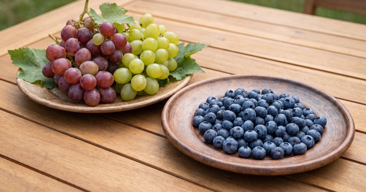 Arándanos o uvas en la mesa familiar: por qué una sube menos el azúcar que la otra y cómo conviene comerlas