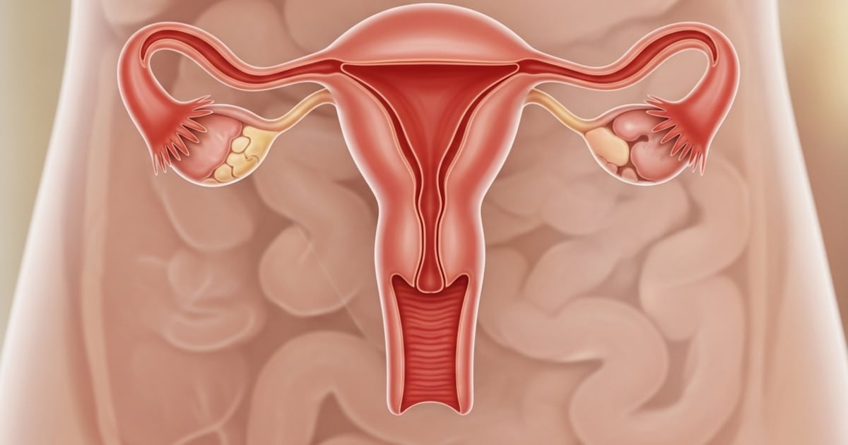 Lo que la menopausia no cuenta: el ovario sigue trabajando en silencio, décadas después