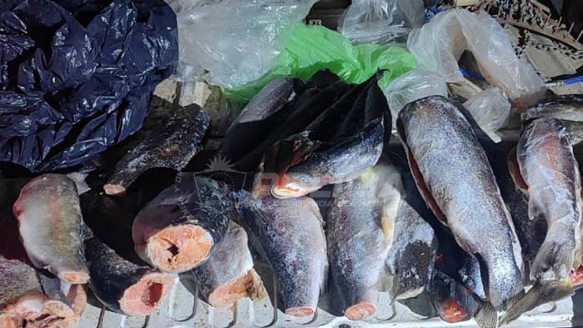 La previa de la pesca en la Patagonia neuquina: qué se puede hacer antes del 1 de noviembre y qué riesgos trae apurarse