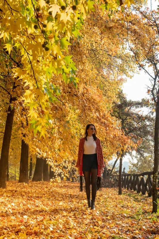 El otoño europeo abre una ventana de viaje entre Smithsonian y el arte