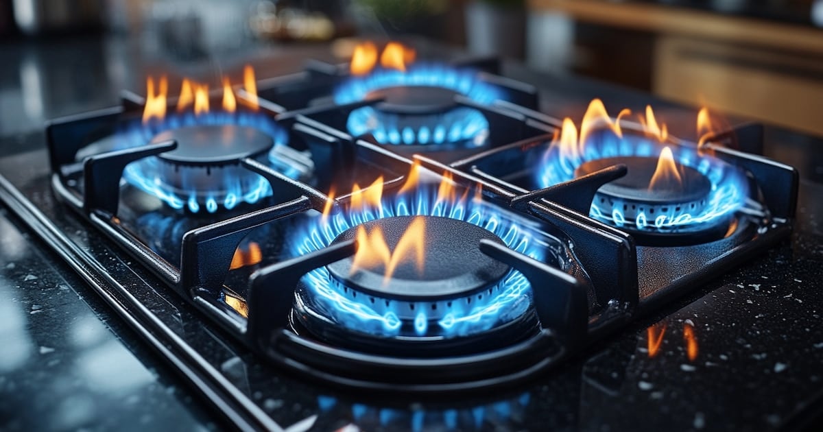 ElRegistro NacionaldeZonasFríasrecortaelbeneficio gasolinoend Householdsdelpaís