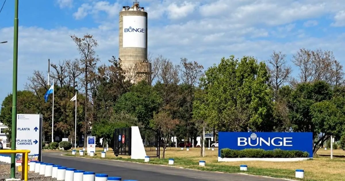 Campana: una planta química interrumpe su producción y despide a 110 trabajadores